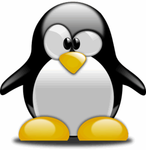 Google Penguin