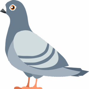 Google Pigeon